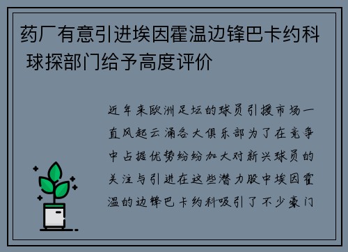 药厂有意引进埃因霍温边锋巴卡约科 球探部门给予高度评价