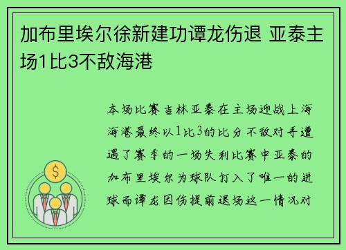 加布里埃尔徐新建功谭龙伤退 亚泰主场1比3不敌海港